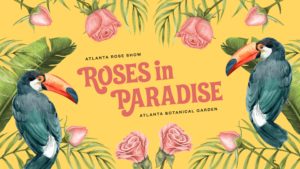 2022 Atlanta Rose Show Roses in Paradise