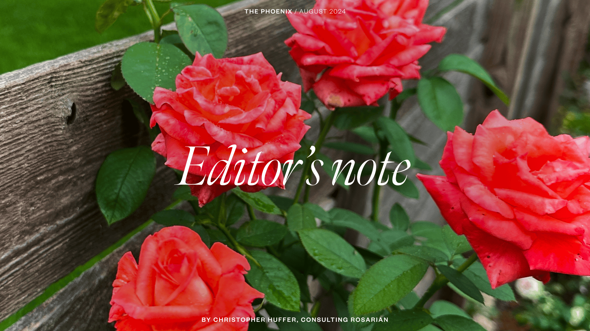 Editor’s note for the August 2024 Phoenix by Christopher Huffer, Consulting Rosarian Editor's note for the August 2024 Phoenix by Christopher Huffer, Consulting Rosarian